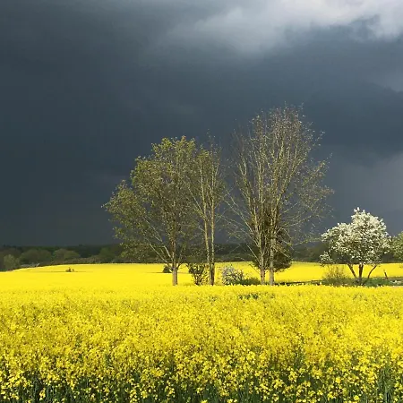 Villenappartement Mit Blick Ins Gruene Am Rande Der Wunderschoenen Altstadt